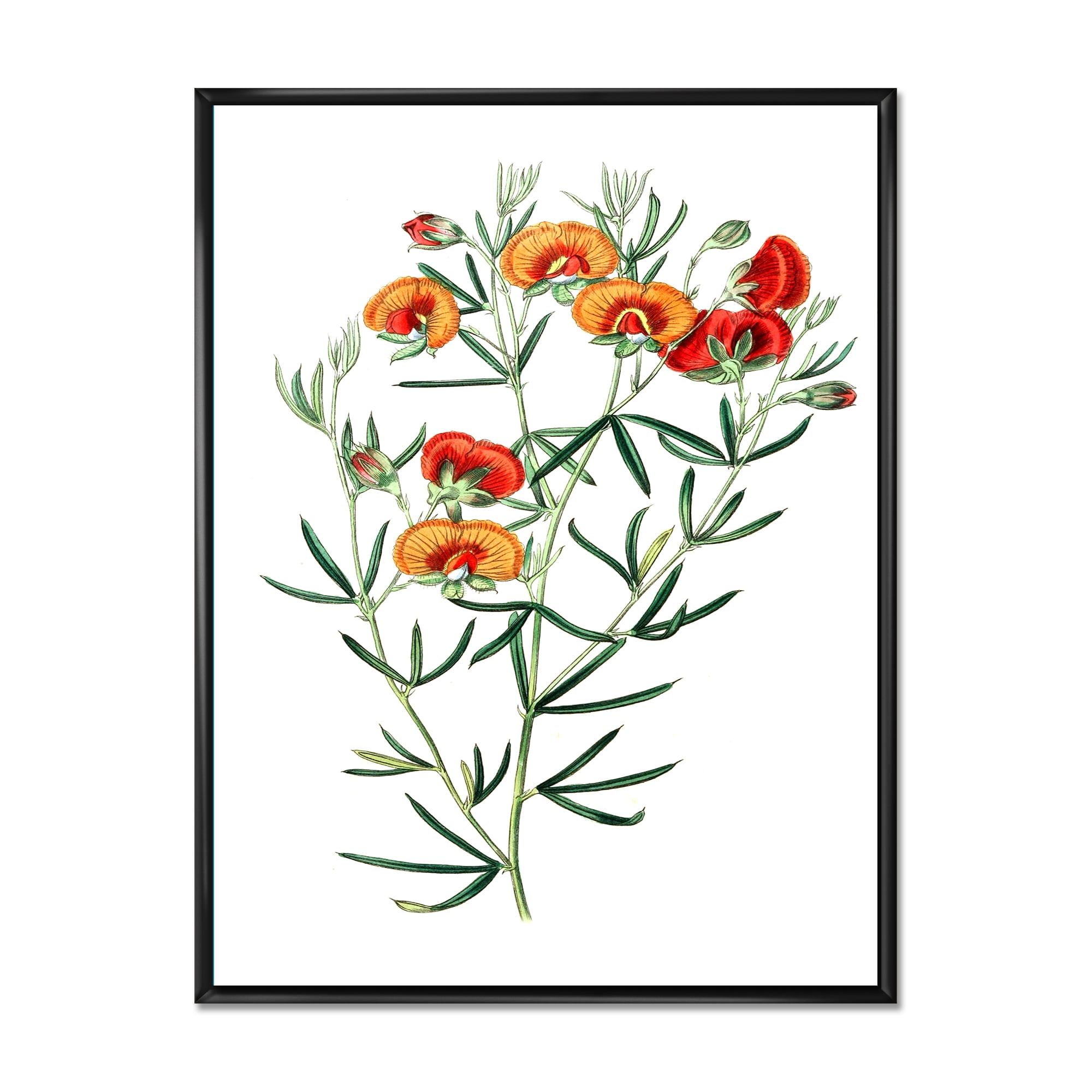 Ancient American Flora VIII 24 in x 32 in Framed Painting Canvas Art Print, by Designart