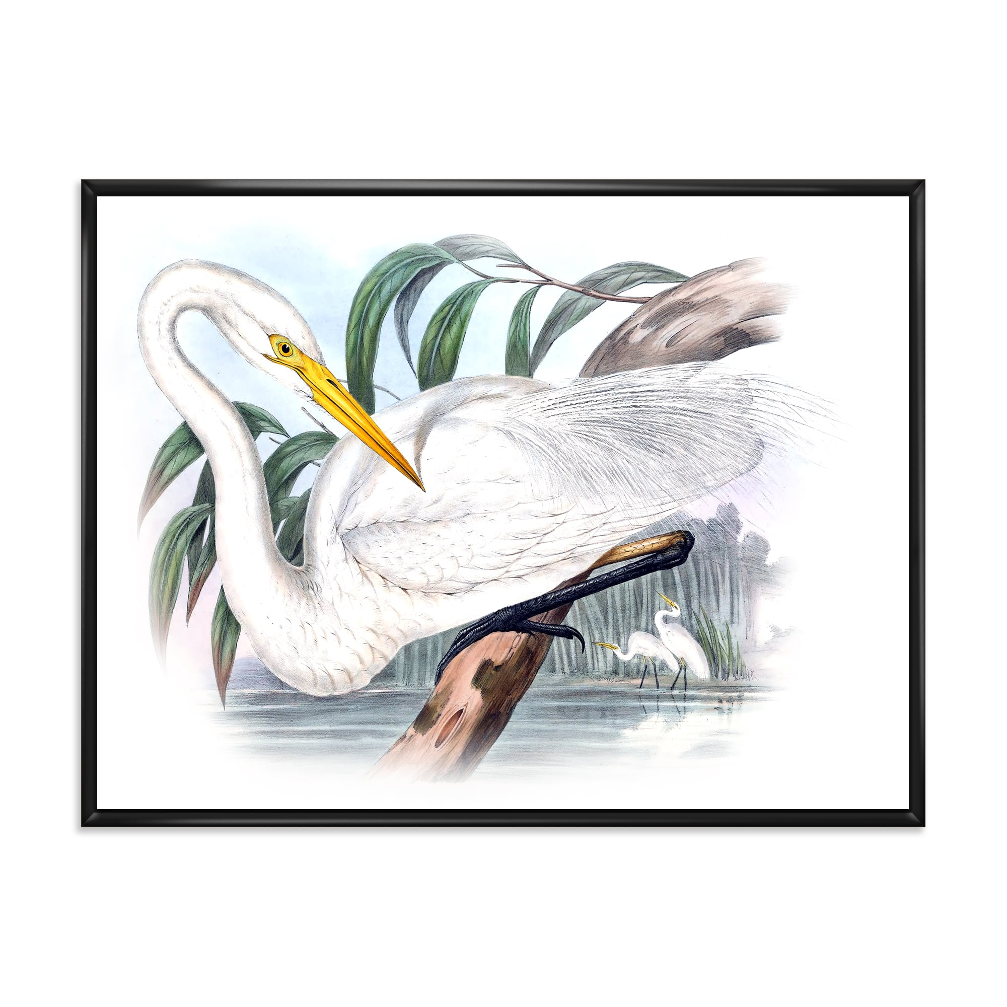 Ancient Australian Birds IV 40 in x 30 in Framed Painting Canvas Art Print, by Designart