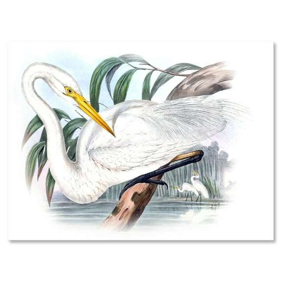 Ancient Australian Birds IV 8 in x 12 in Painting Canvas Art Print, by Designart