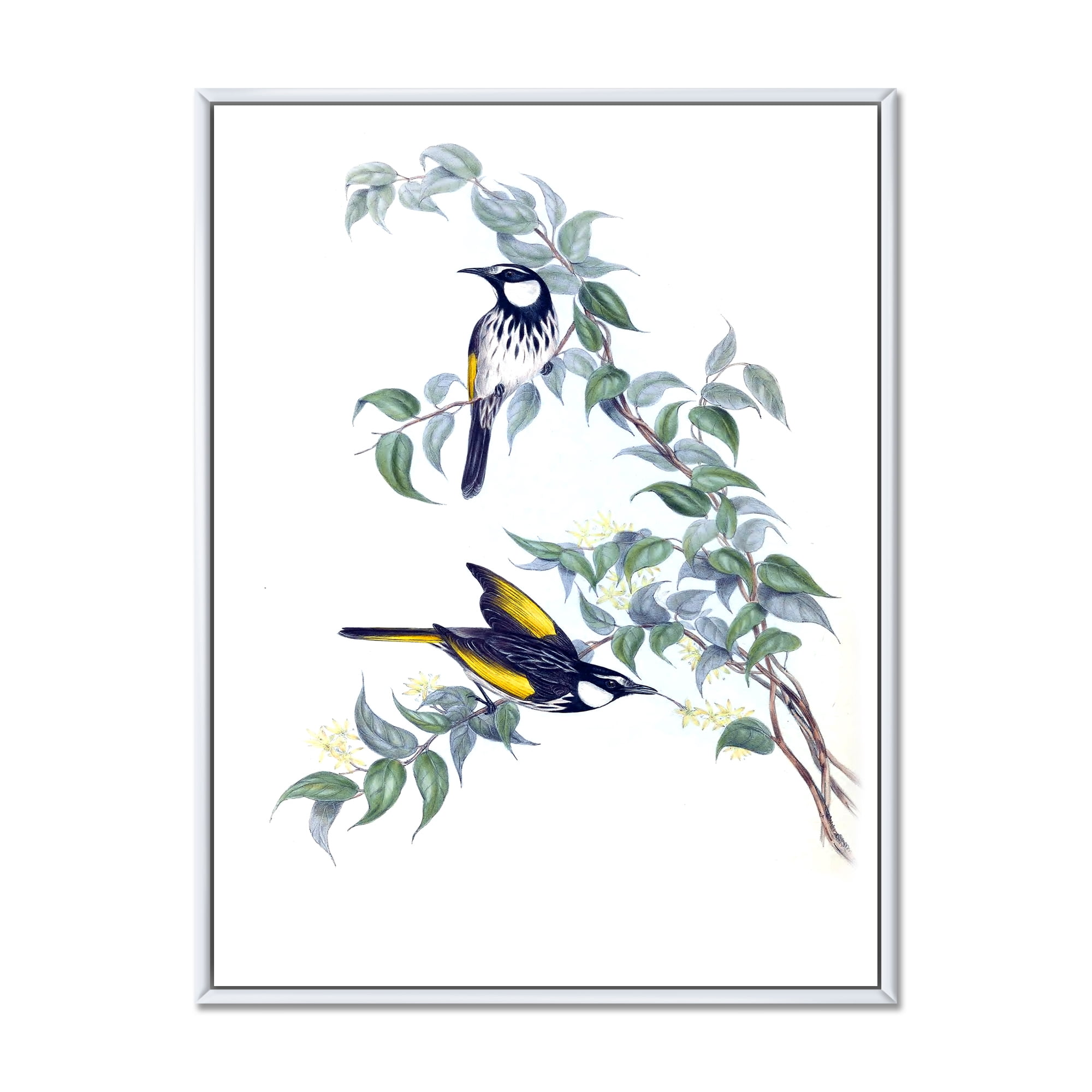 Ancient Australian Birds On A Branch 30 in x 40 in Framed Painting Canvas Art Print, by Designart