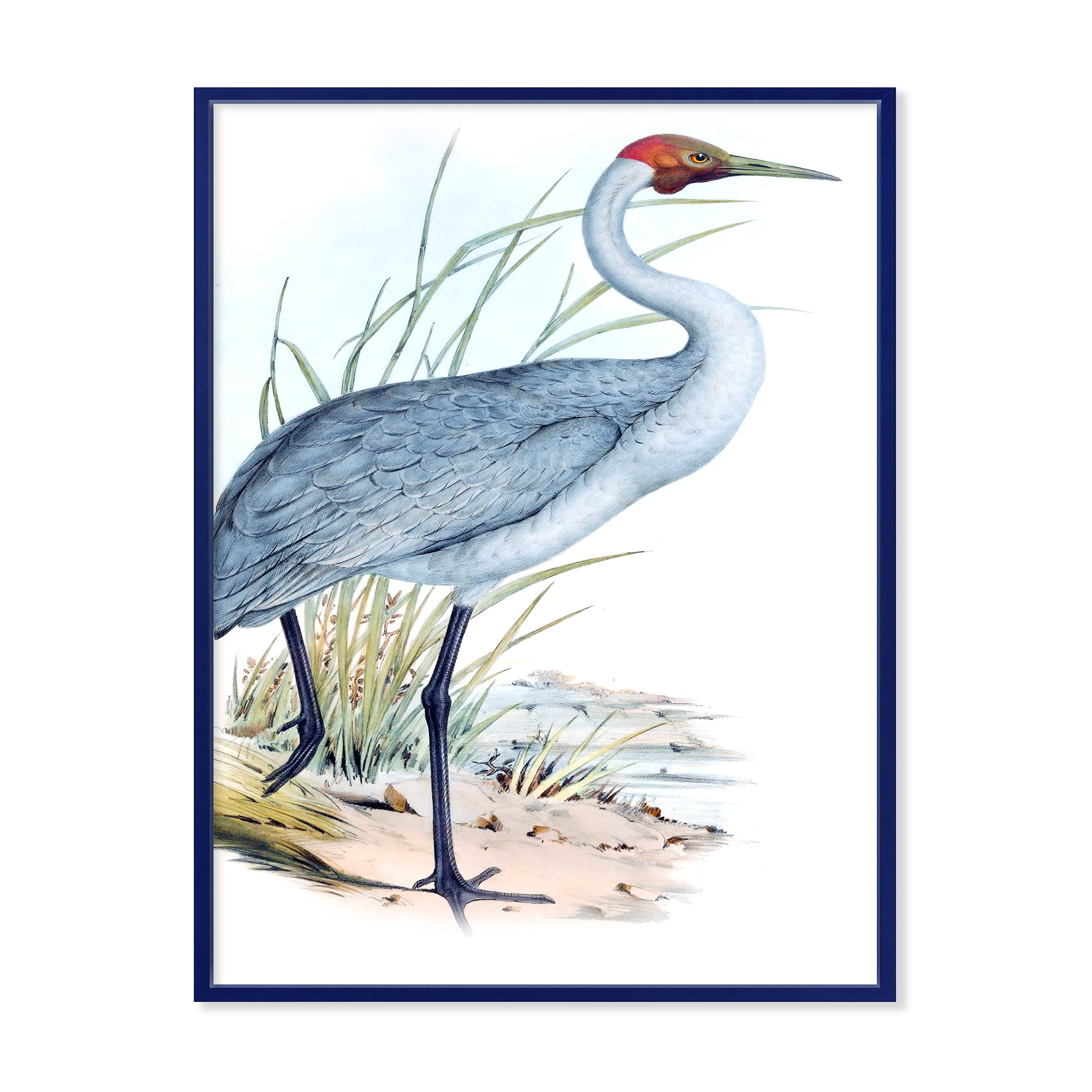 Ancient Australian Birds V 30 in x 40 in Framed Painting Canvas Art Print, by Designart
