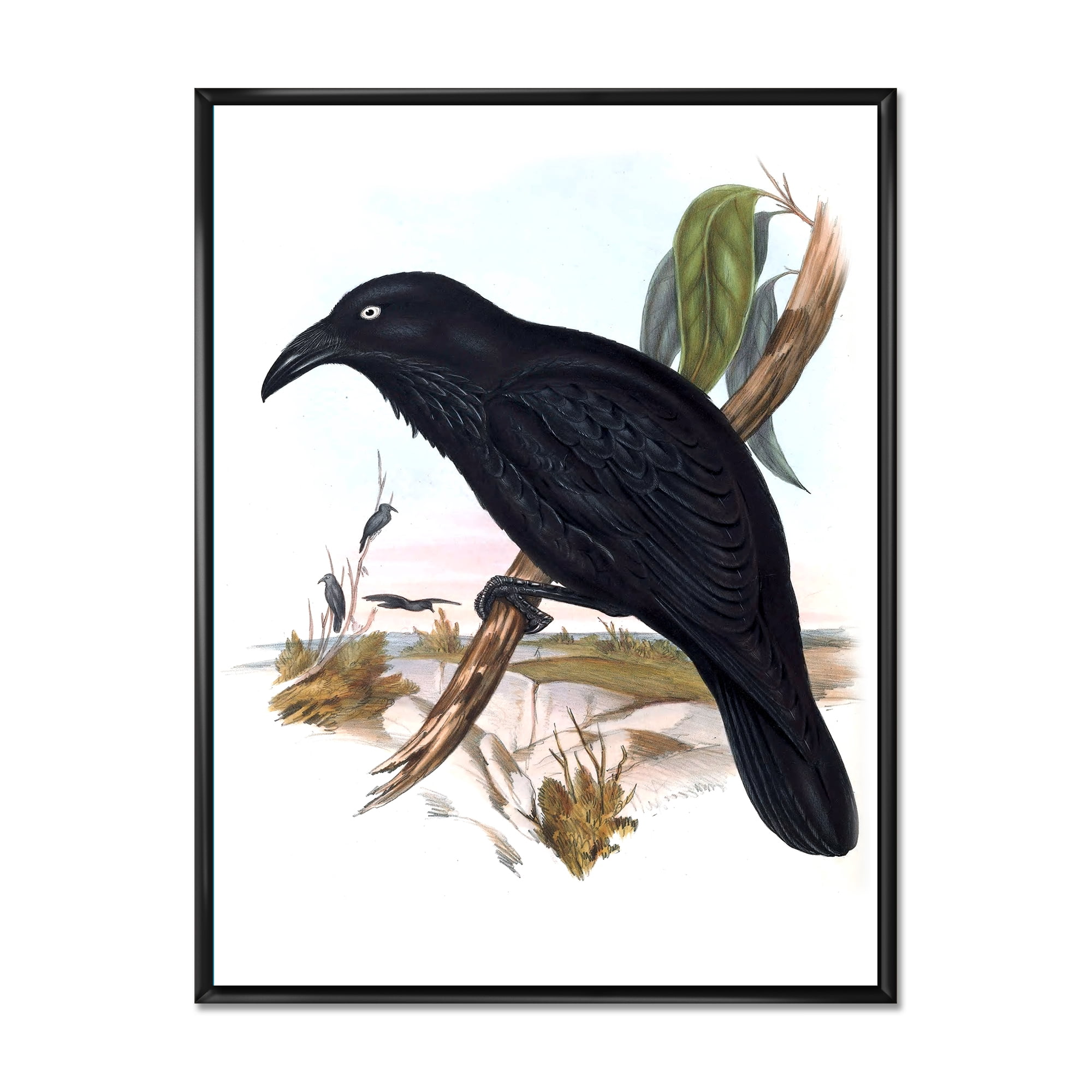 Ancient Australian Birds VI 30 in x 40 in Framed Painting Canvas Art Print, by Designart