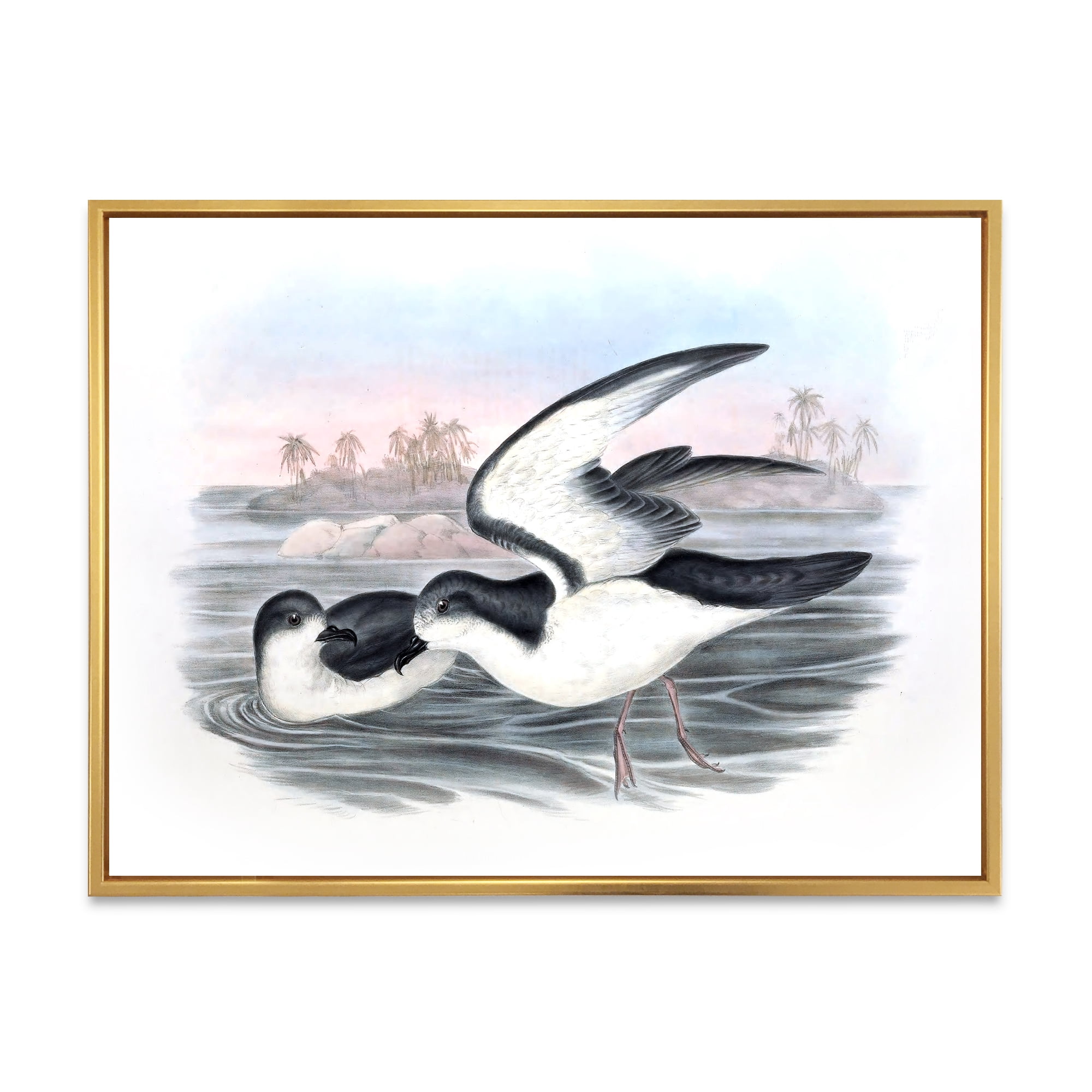Ancient Australian Birds X 32 in x 16 in Framed Painting Canvas Art Print, by Designart