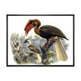 thumbnail image 1 of Ancient Australian Birds XI 32 in x 16 in Framed Painting Canvas Art Print, by Designart, 1 of 5