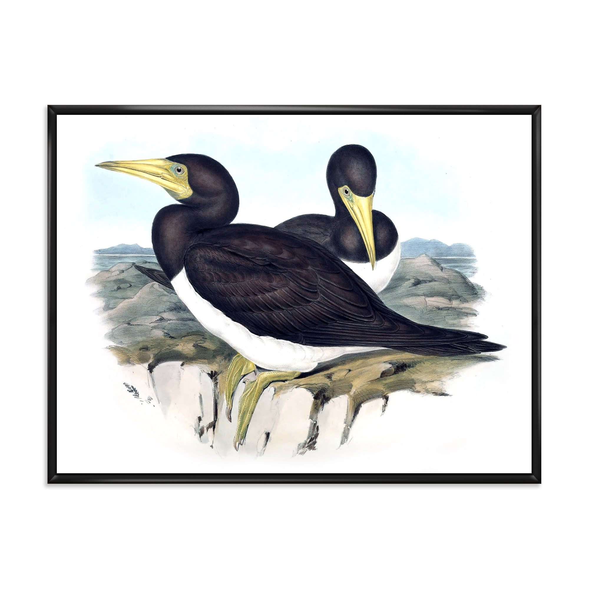 Ancient Australian Birds XII 40 in x 30 in Framed Painting Canvas Art Print, by Designart