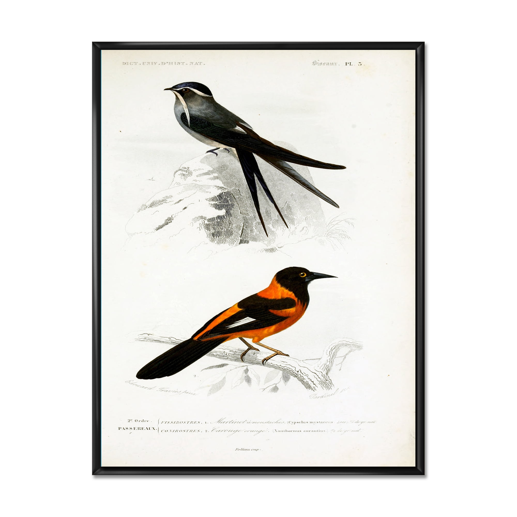 Ancient Bird II 12 in x 20 in Framed Painting Canvas Art Print, by Designart