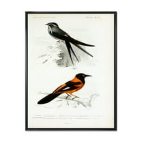 Ancient Bird II 12 in x 20 in Framed Painting Canvas Art Print, by Designart