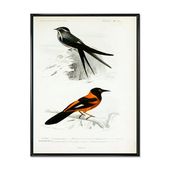 Ancient Bird II 12 in x 20 in Framed Painting Canvas Art Print, by Designart