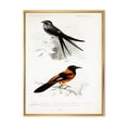 thumbnail image 1 of Ancient Bird II 16 in x 32 in Framed Painting Canvas Art Print, by Designart, 1 of 5