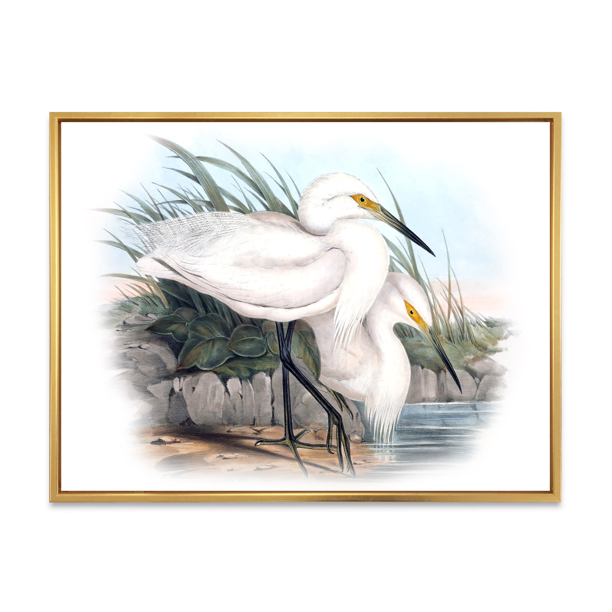 Ancient Bird Life I 32 in x 16 in Framed Painting Canvas Art Print, by Designart
