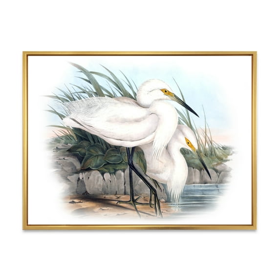 Ancient Bird Life I 32 in x 16 in Framed Painting Canvas Art Print, by Designart