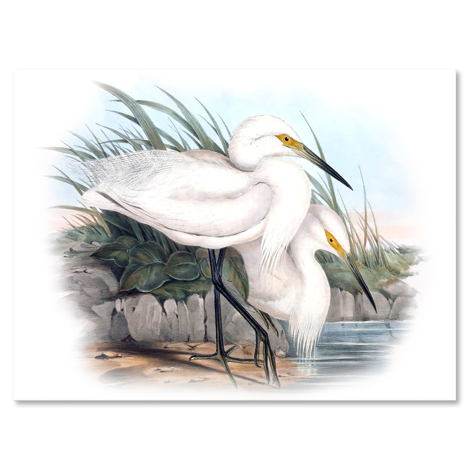 Ancient Bird Life I 40 in x 30 in Painting Canvas Art Print, by Designart