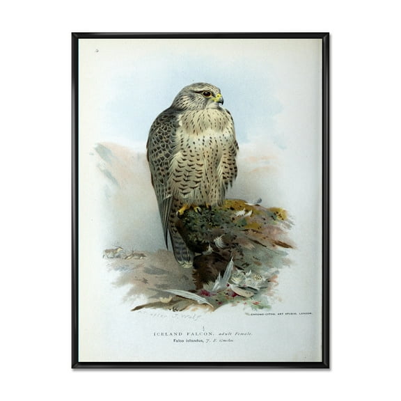 Ancient Bird Life V 12 in x 20 in Framed Painting Canvas Art Print, by Designart