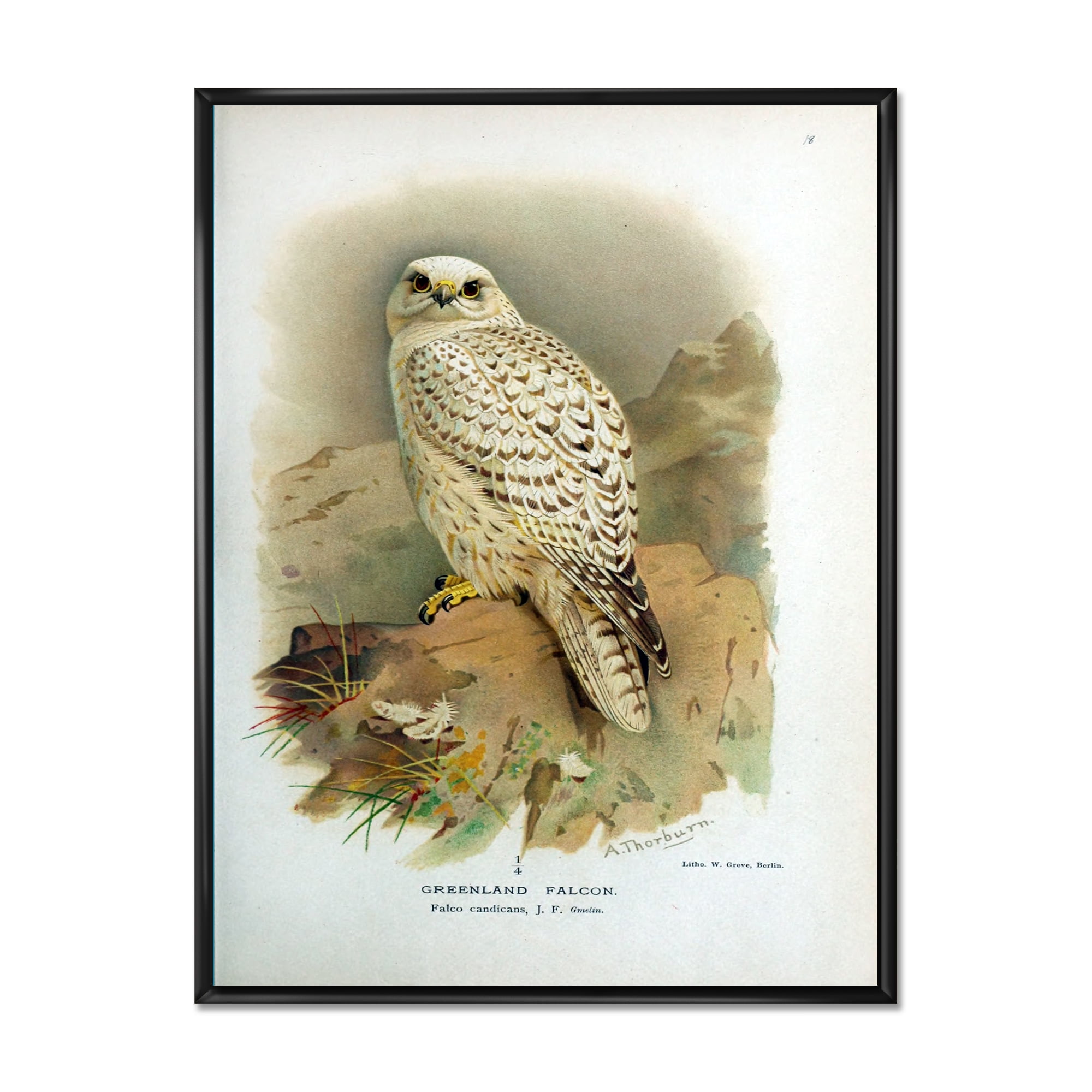 Ancient Bird Life VII 24 in x 32 in Framed Painting Canvas Art Print, by Designart