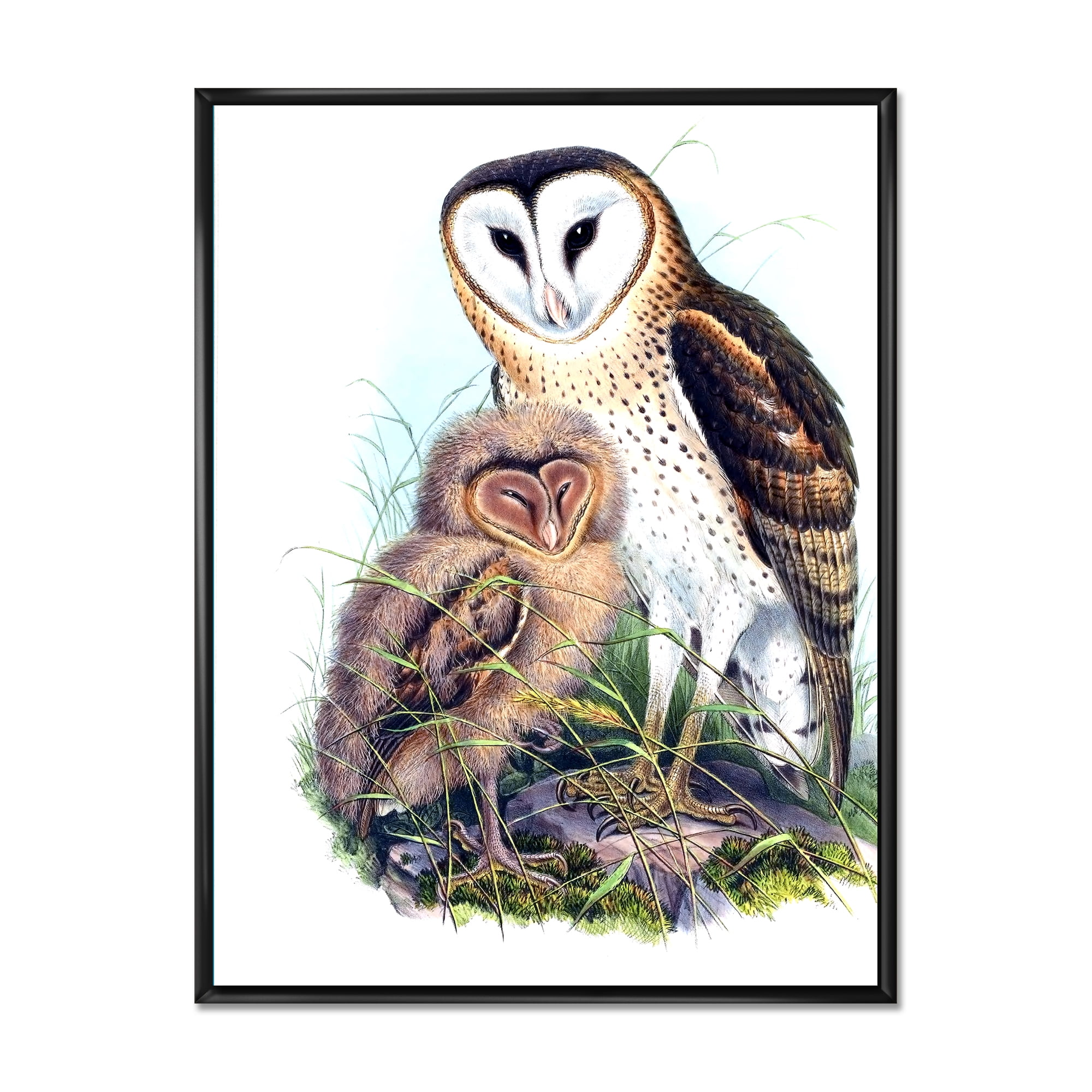 Ancient Birds I 30 in x 40 in Framed Painting Canvas Art Print, by Designart