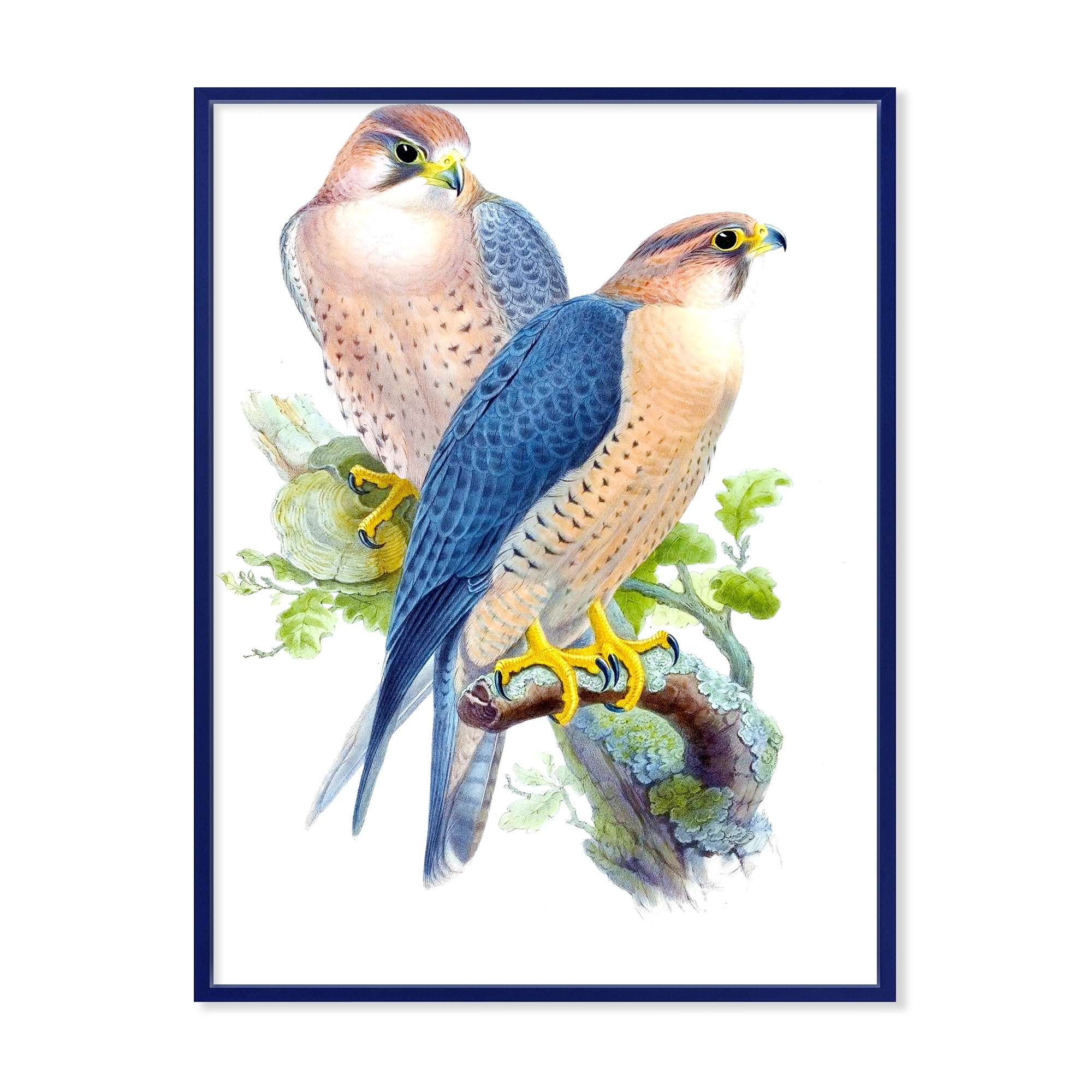 Ancient Birds II 24 in x 32 in Framed Painting Canvas Art Print, by Designart