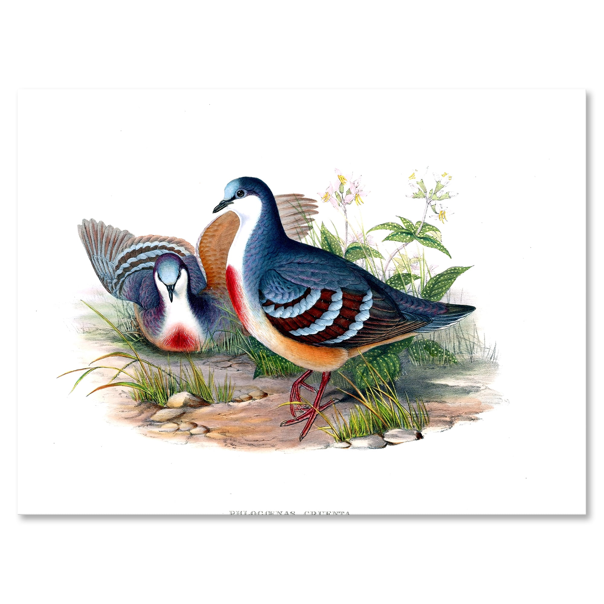 Ancient Birds In The Wild IV 40 in x 30 in Painting Canvas Art Print, by Designart