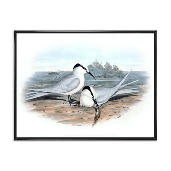 Ancient Birds In The Wild IX 20 in x 12 in Framed Painting Canvas Art Print, by Designart