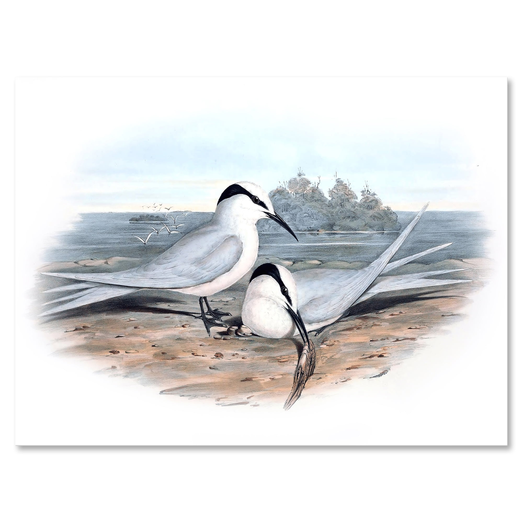 Ancient Birds In The Wild IX 40 in x 30 in Painting Canvas Art Print, by Designart