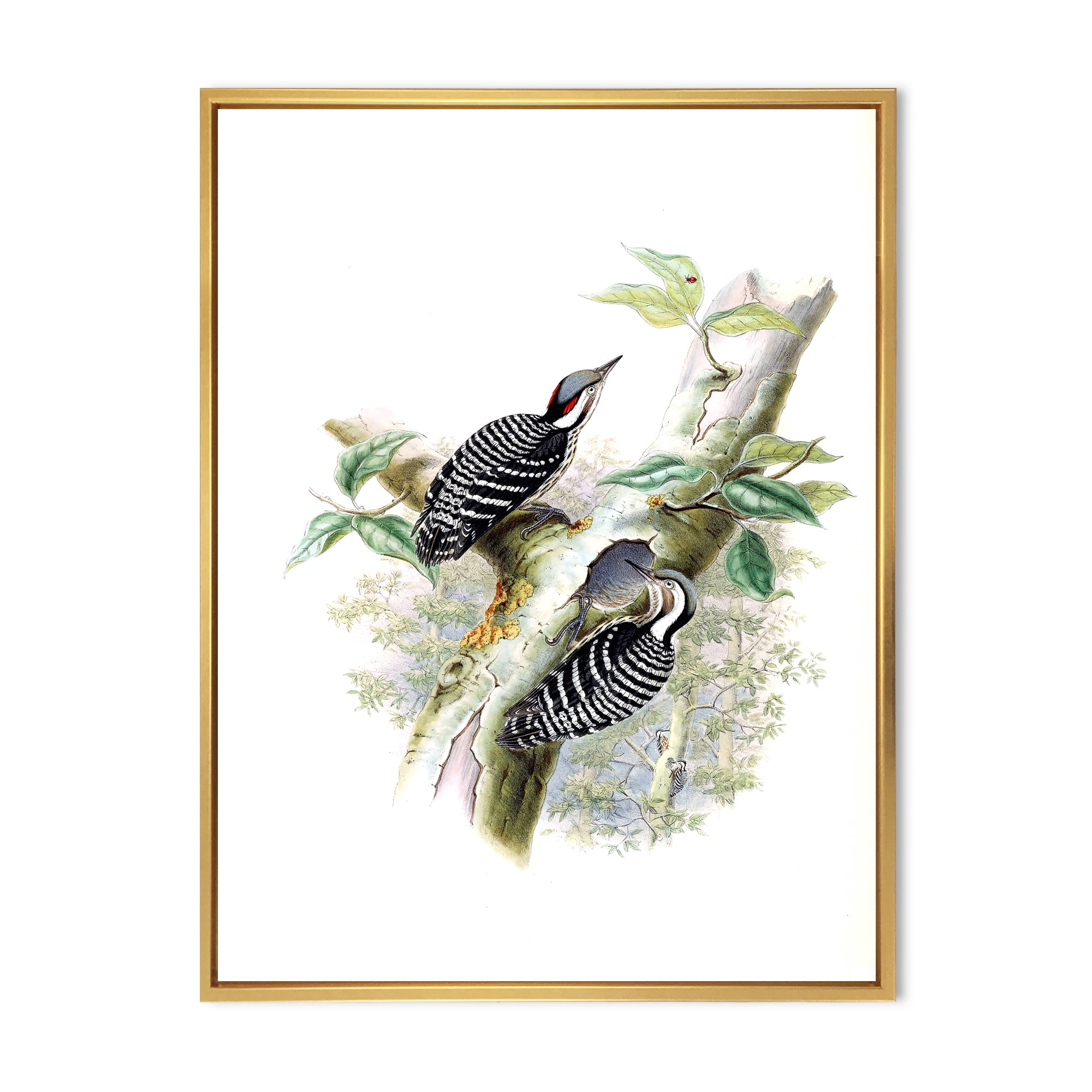 Ancient Birds In The Wild V 12 in x 20 in Framed Painting Canvas Art Print, by Designart