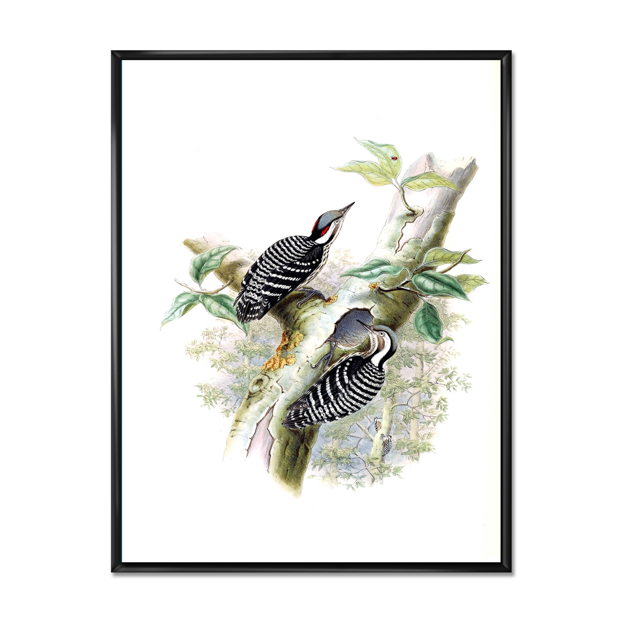 Ancient Birds In The Wild V 16 in x 32 in Framed Painting Canvas Art Print, by Designart