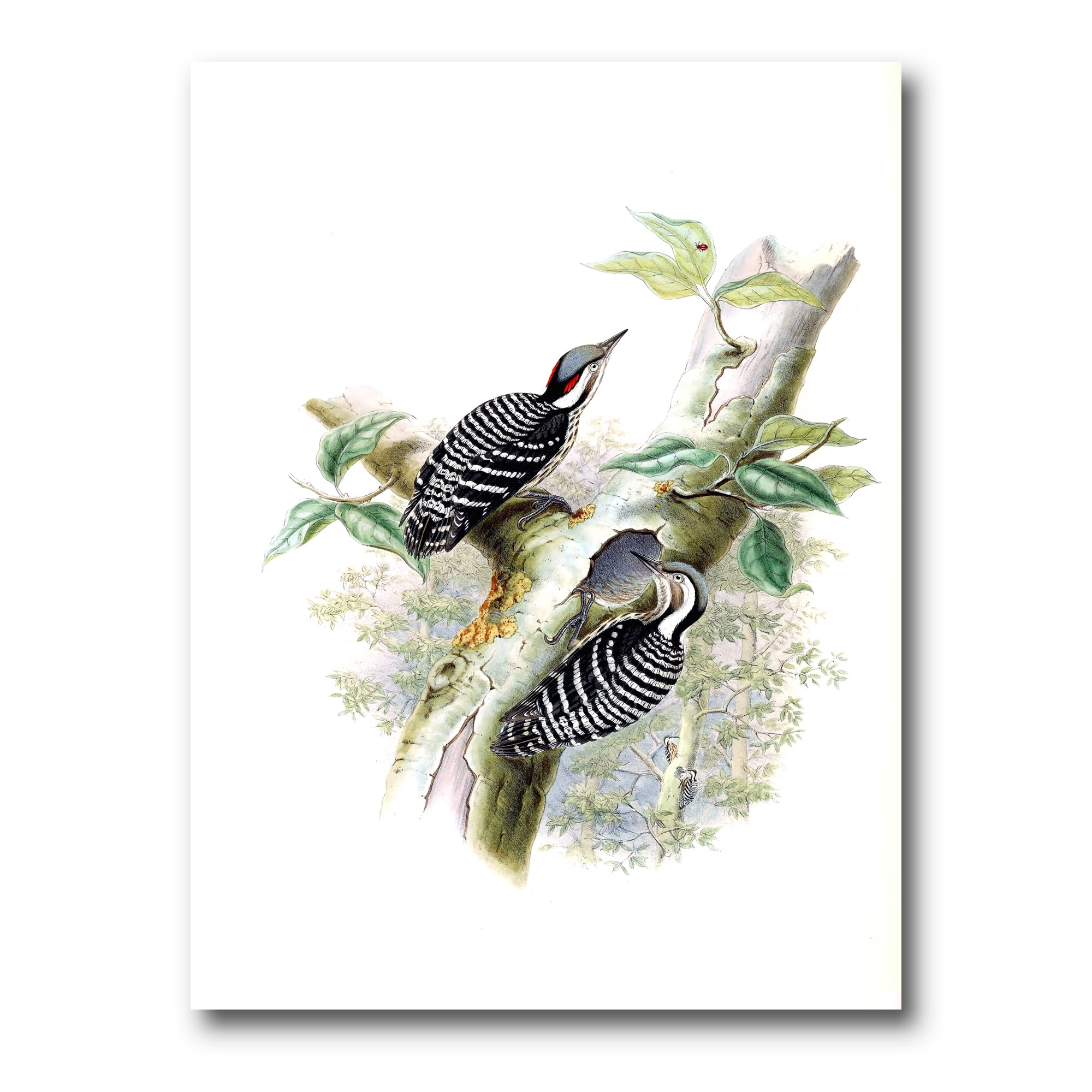Ancient Birds In The Wild V 30 in x 40 in Painting Canvas Art Print, by Designart