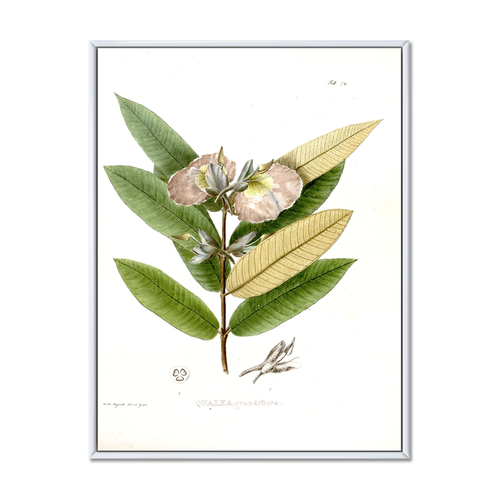 Ancient Blossoming Flower II 12 in x 20 in Framed Painting Canvas Art Print, by Designart