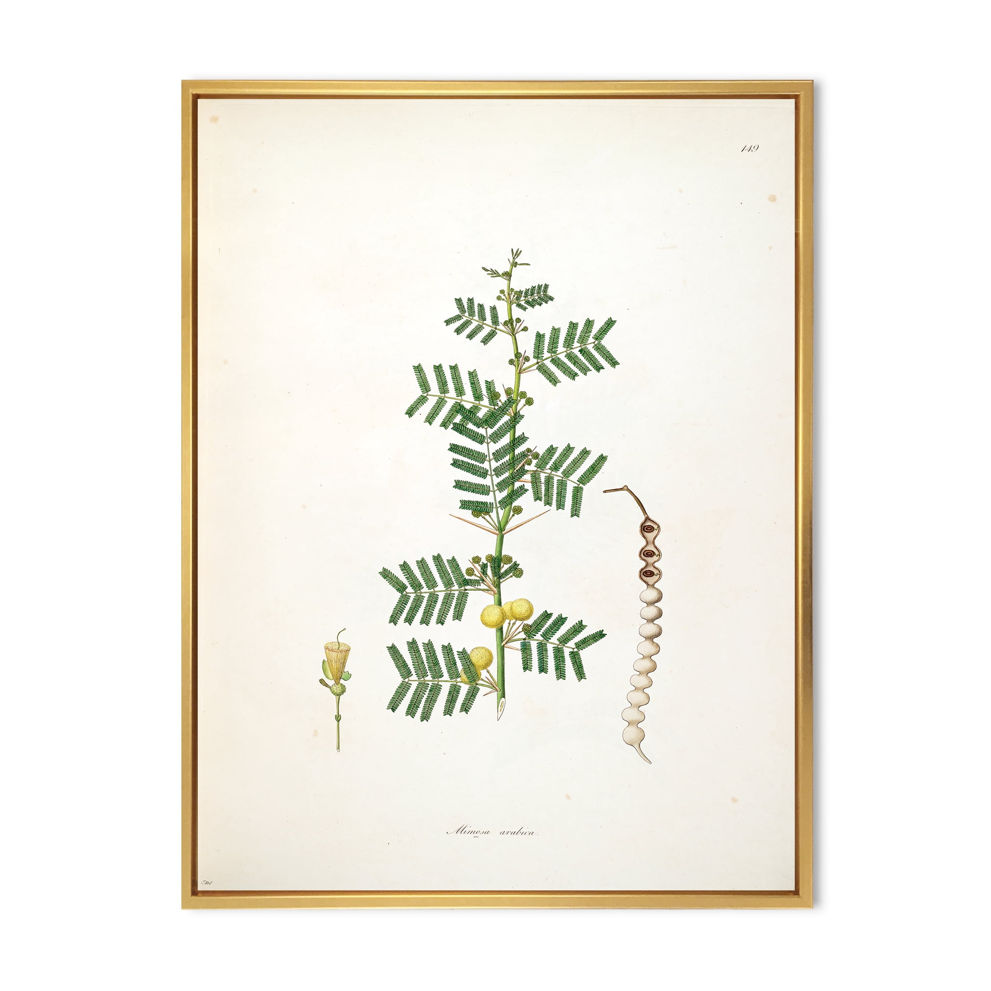 Ancient Blossoming Flower III 12 in x 20 in Framed Painting Canvas Art Print, by Designart