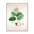 thumbnail image 1 of Ancient Botanicals III 12 in x 20 in Framed Painting Canvas Art Print, by Designart, 1 of 5