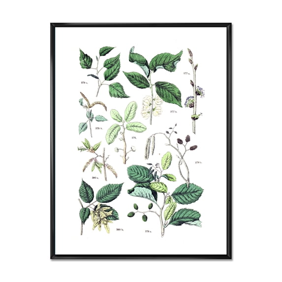 Ancient Botanicals VIII 16 in x 32 in Framed Painting Canvas Art Print, by Designart