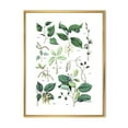 thumbnail image 1 of Ancient Botanicals VIII 16 in x 32 in Framed Painting Canvas Art Print, by Designart, 1 of 5