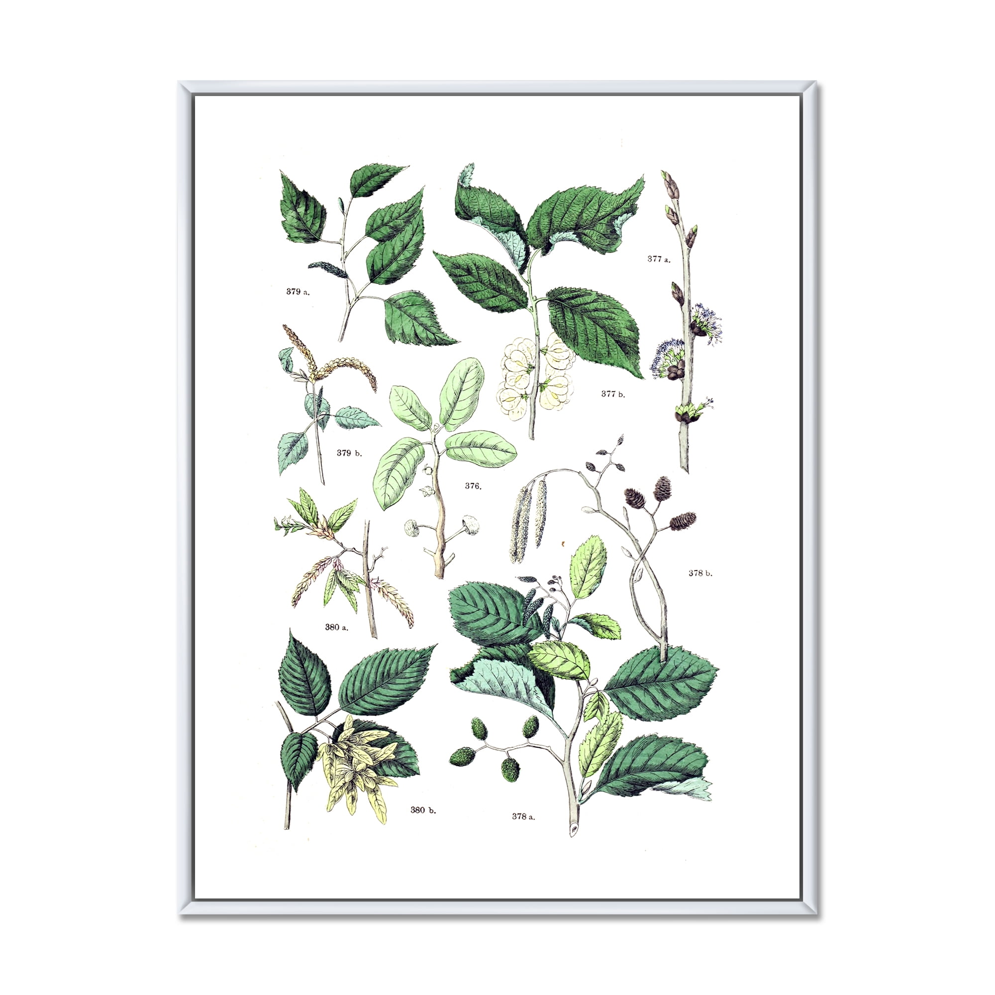 Ancient Botanicals VIII 24 in x 32 in Framed Painting Canvas Art Print, by Designart
