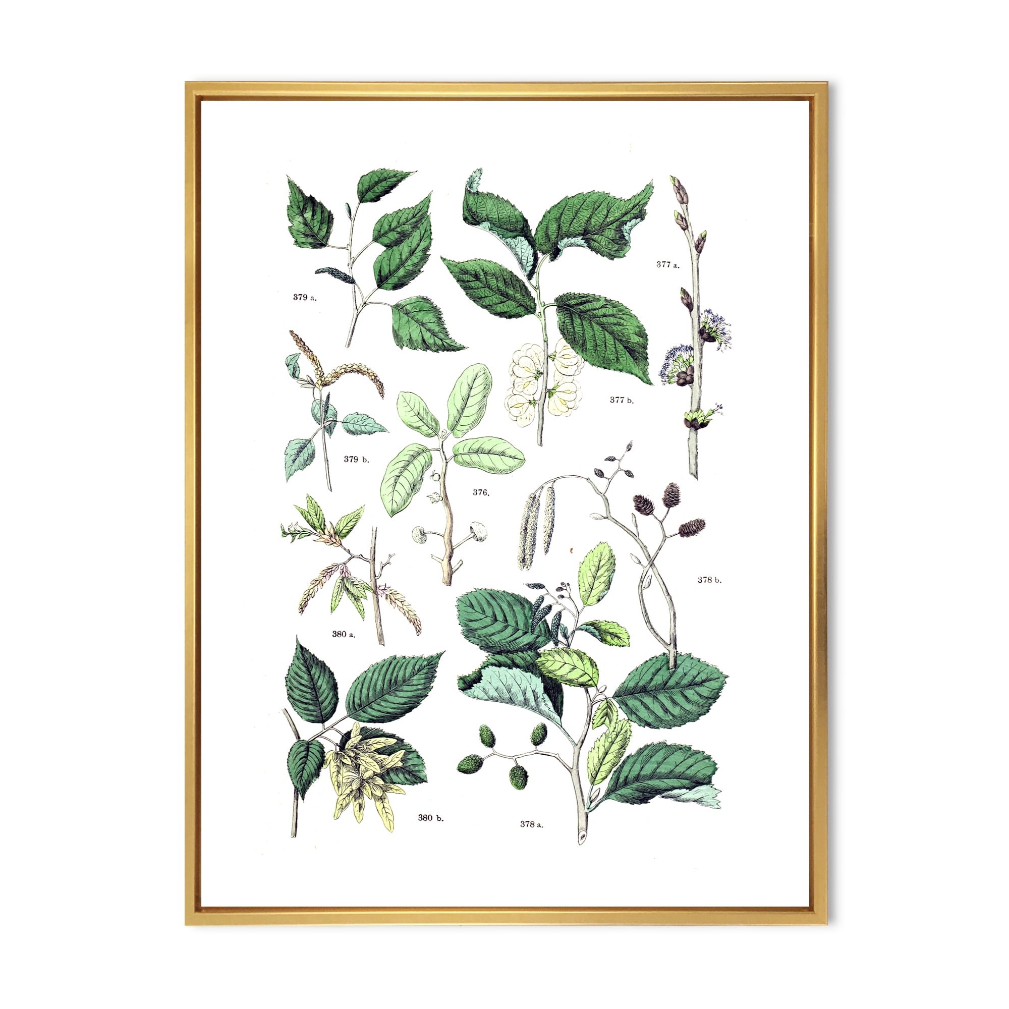 Ancient Botanicals VIII 30 in x 40 in Framed Painting Canvas Art Print, by Designart