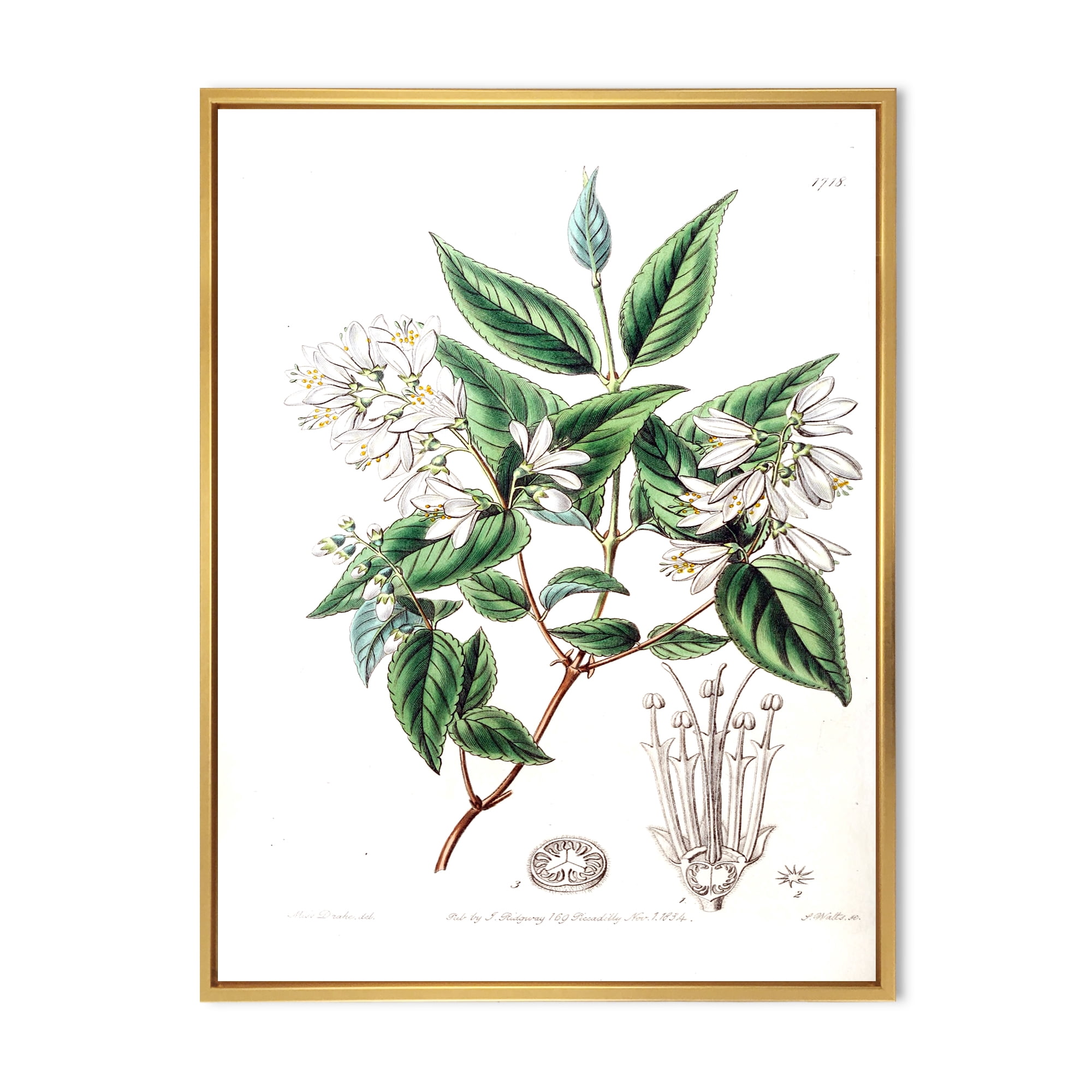 Ancient Botanicals X 24 in x 32 in Framed Painting Canvas Art Print, by Designart