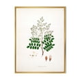 thumbnail image 1 of Ancient Botanicals XII 30 in x 40 in Framed Painting Canvas Art Print, by Designart, 1 of 5