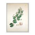 thumbnail image 1 of Ancient Botanicals XIII 30 in x 40 in Framed Painting Canvas Art Print, by Designart, 1 of 5