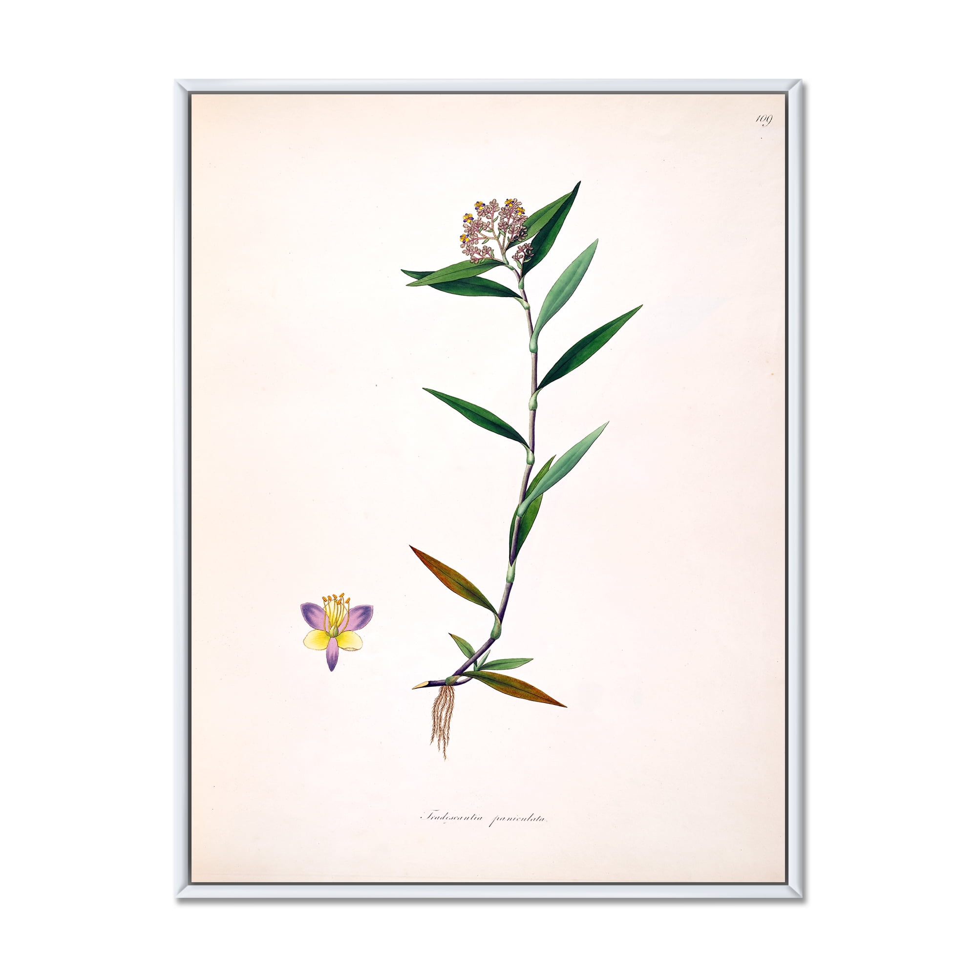 Ancient Botanicals XIX 30 in x 40 in Framed Painting Canvas Art Print, by Designart