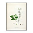 thumbnail image 1 of Ancient Botanicals XV 12 in x 20 in Framed Painting Canvas Art Print, by Designart, 1 of 5