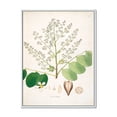 thumbnail image 1 of Ancient Botanicals XVI 30 in x 40 in Framed Painting Canvas Art Print, by Designart, 1 of 5