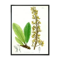 Ancient Brazilian Plant IV 12 in x 20 in Framed Painting Canvas Art Print, by Designart
