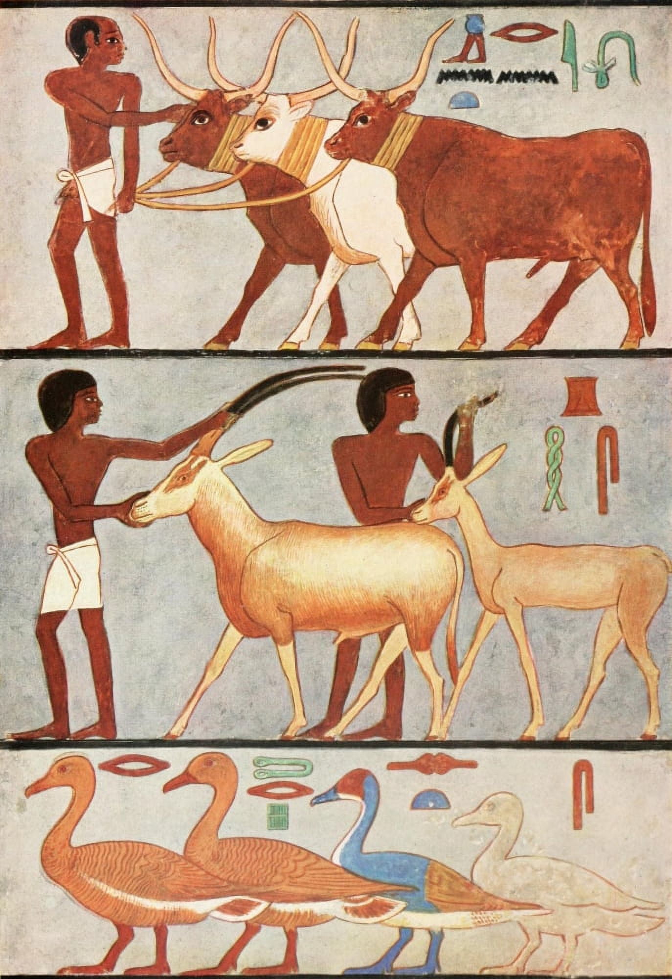 Ancient Giza 1900 Wall painting 5 Canvas Art - (18 x 24)