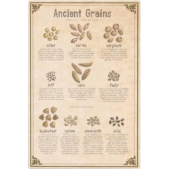 Ancient Grains Chart Metal Signs Retro Wall Decor Farmhouse Farmers Infographic Posters Home Kitchen Crop Shop Tin Plaque 8x12 inches