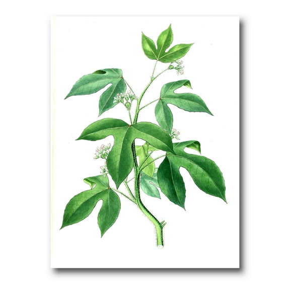Ancient Green Leaves Plants V 8 in x 12 in Painting Canvas Art Print, by Designart