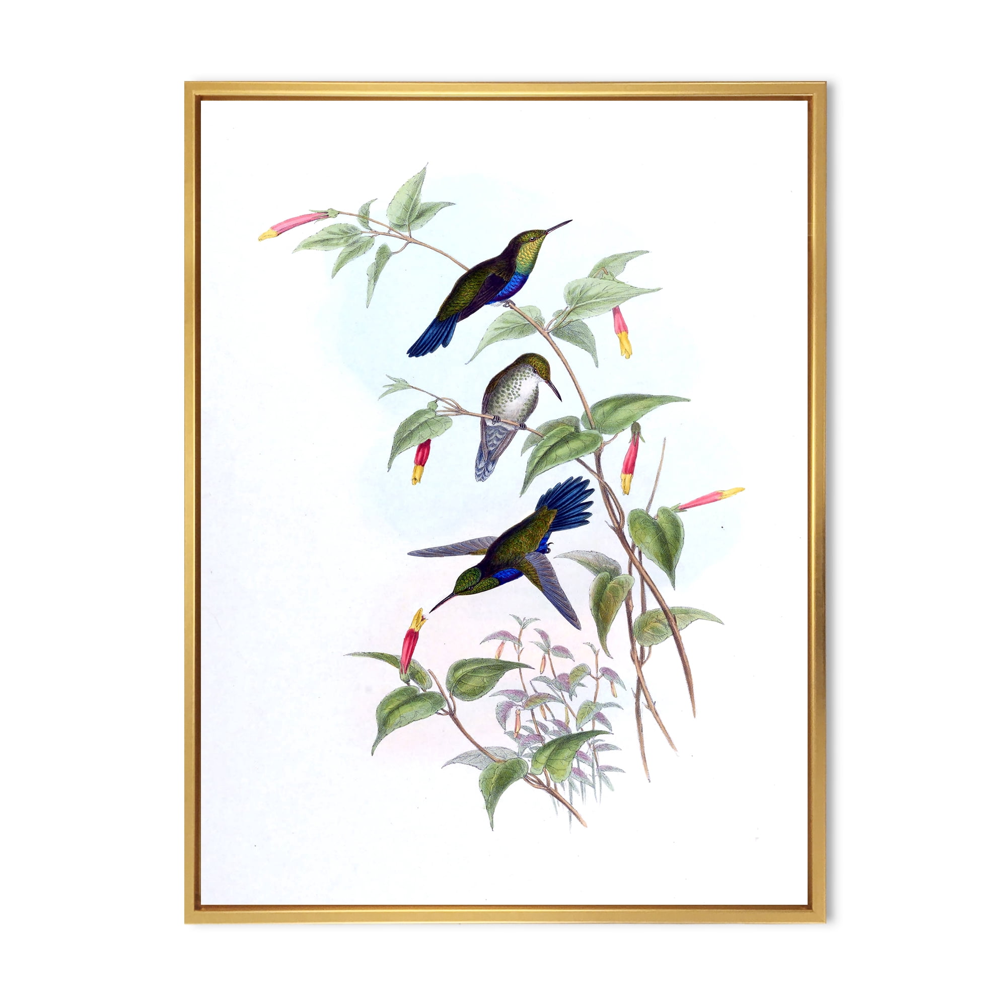 Ancient Hummingbird I 30 in x 40 in Framed Painting Canvas Art Print, by Designart