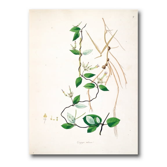 Ancient London Plants IV 12 in x 8 in Painting Canvas Art Print, by Designart