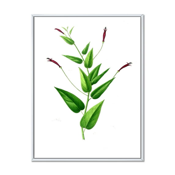 Ancient London Plants VII 12 in x 20 in Framed Painting Canvas Art Print, by Designart