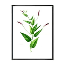 Ancient London Plants VII' 12" x 20" Framed Painting Canvas Art Print, by Designart