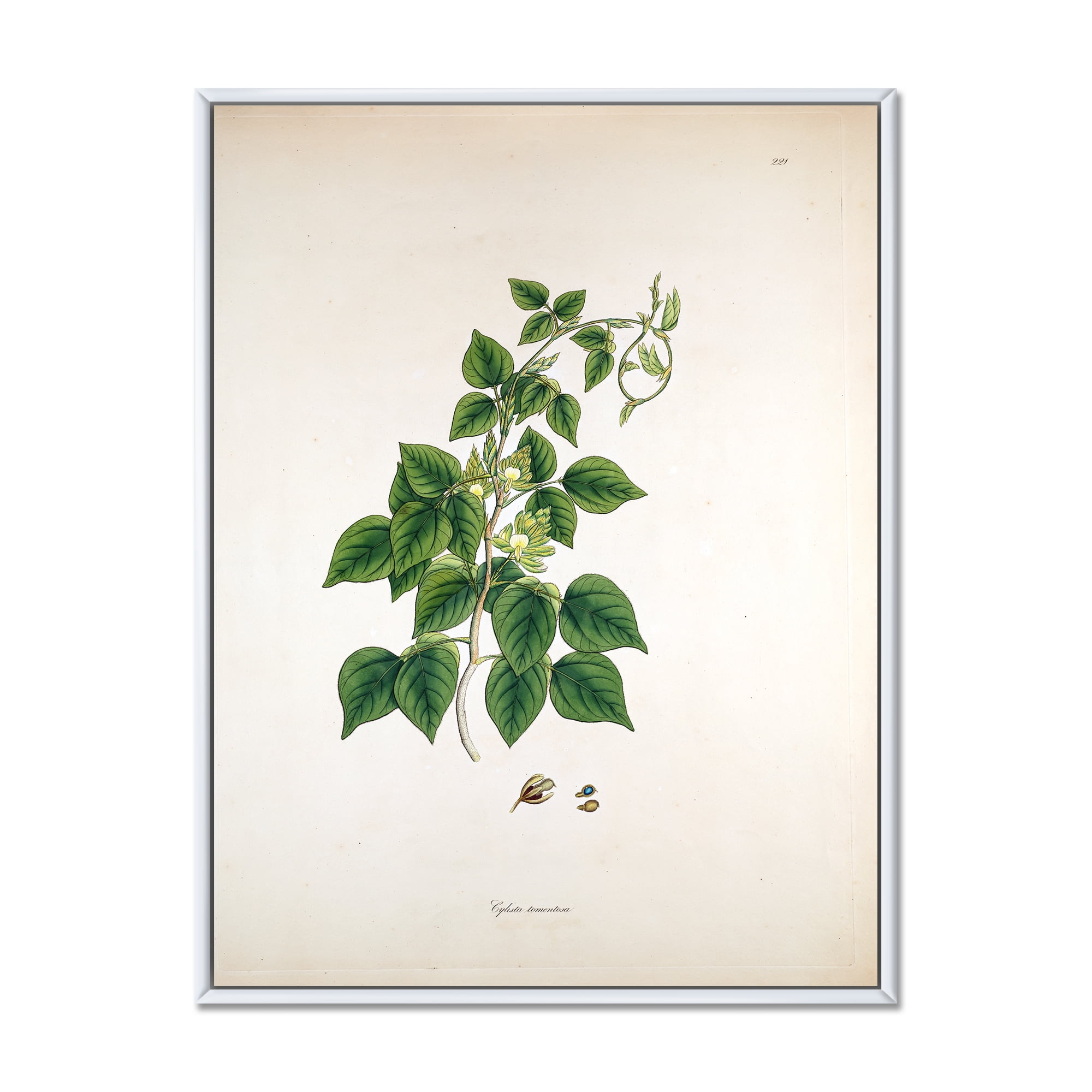 Ancient London Plants VIII 24 in x 32 in Framed Painting Canvas Art Print, by Designart