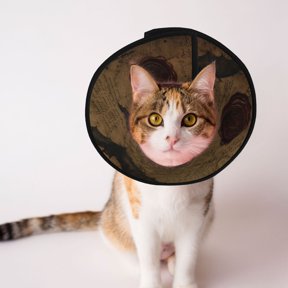 Ancient Occult Manuscript Print Soft Pet Recovery Collar for Cats Small Dogs, Protective Elizabeth Collar for Post-Surgery, Anti-Lick & Anti-Scratch