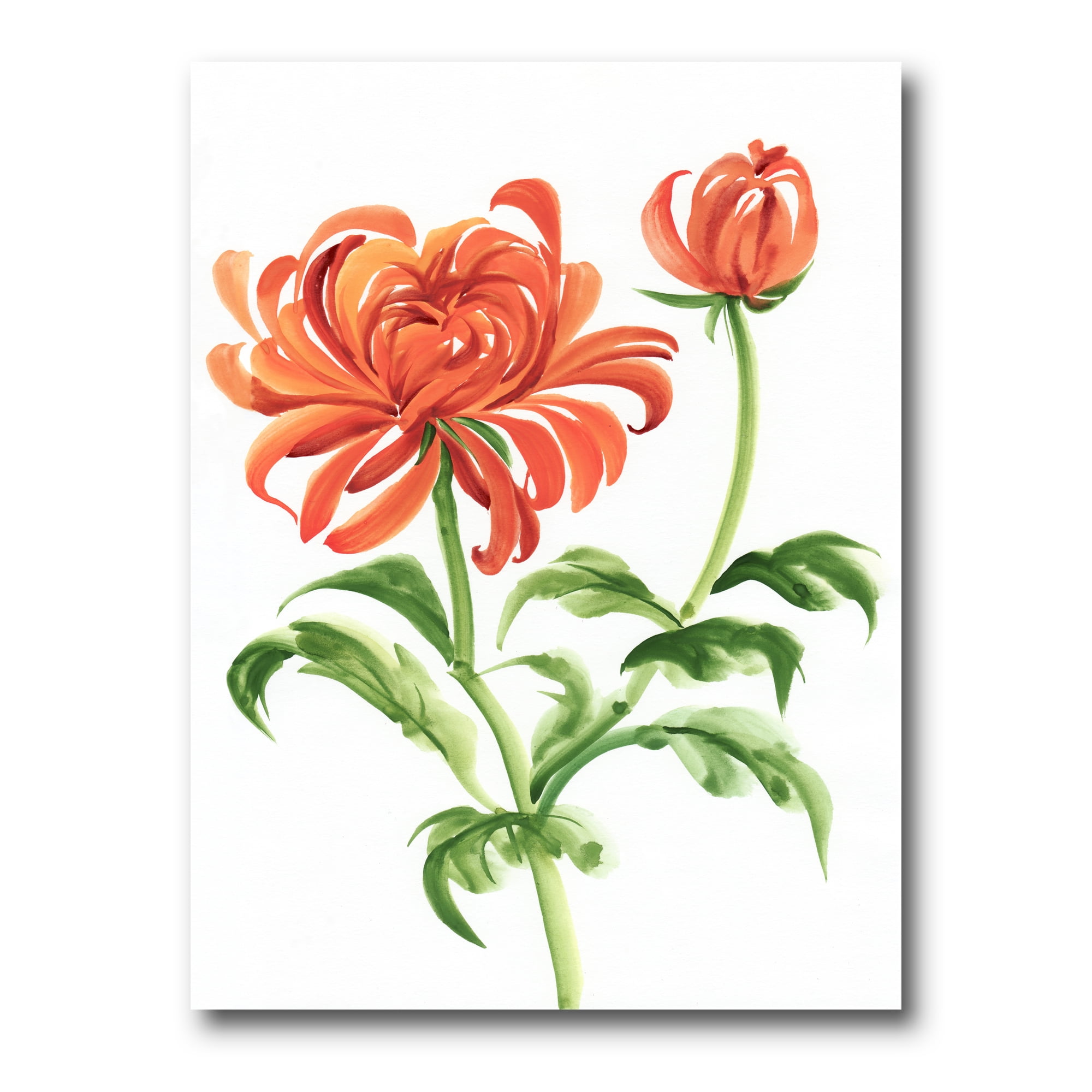 Orange Chrysanthemum Flower Canvas Art Print with Wood Frame